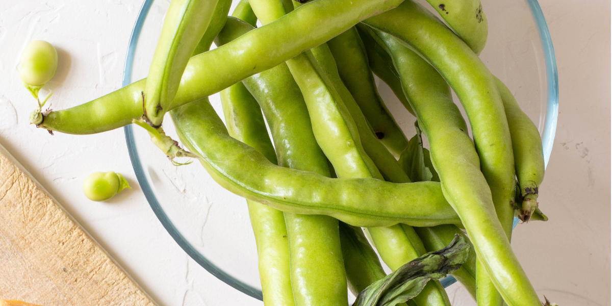 Broad beans in pods